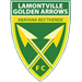 Golden Arrows badge
